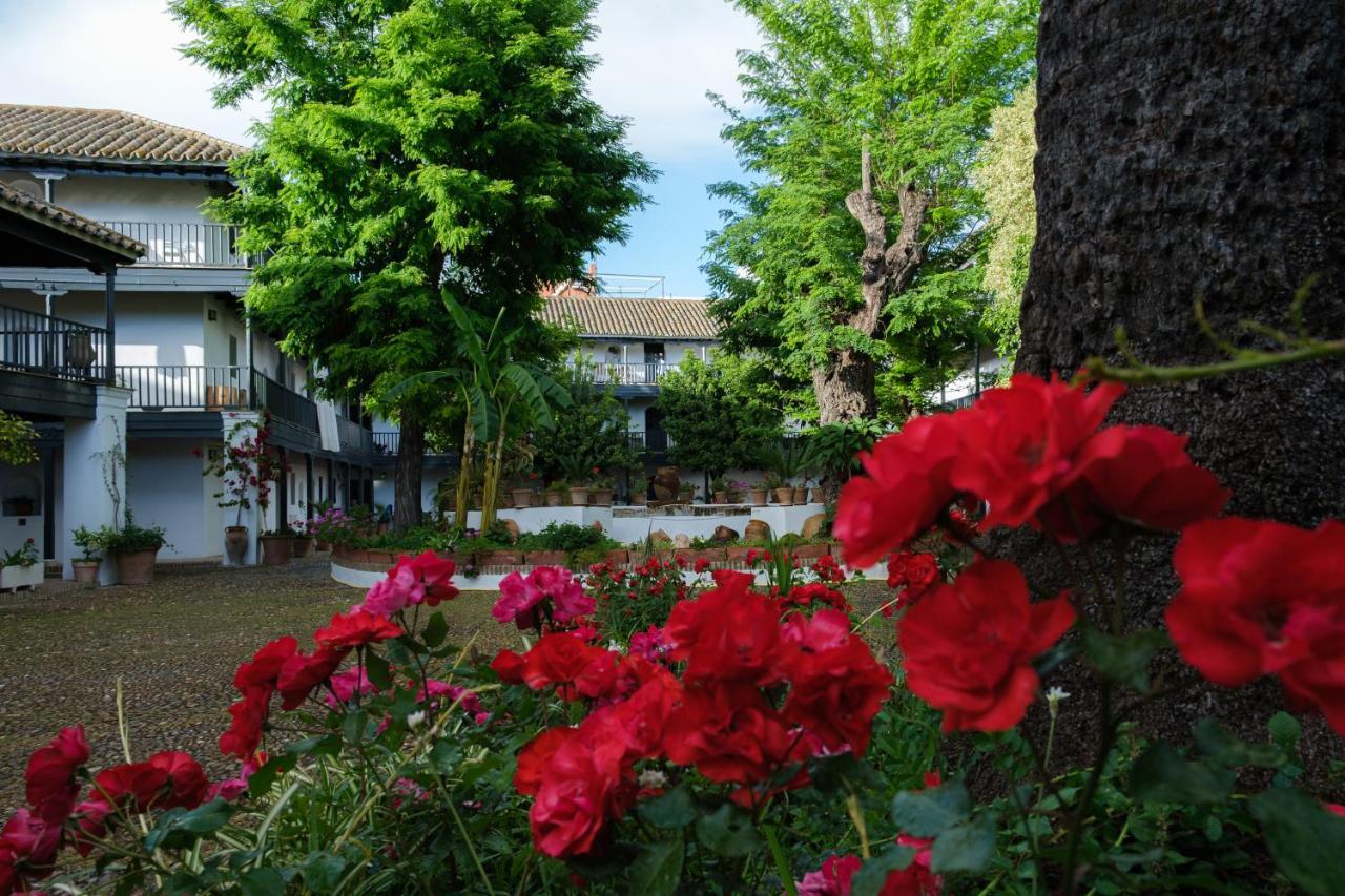 Vista Corral Del Conde Διαμέρισμα Σεβίλλη Εξωτερικό φωτογραφία
