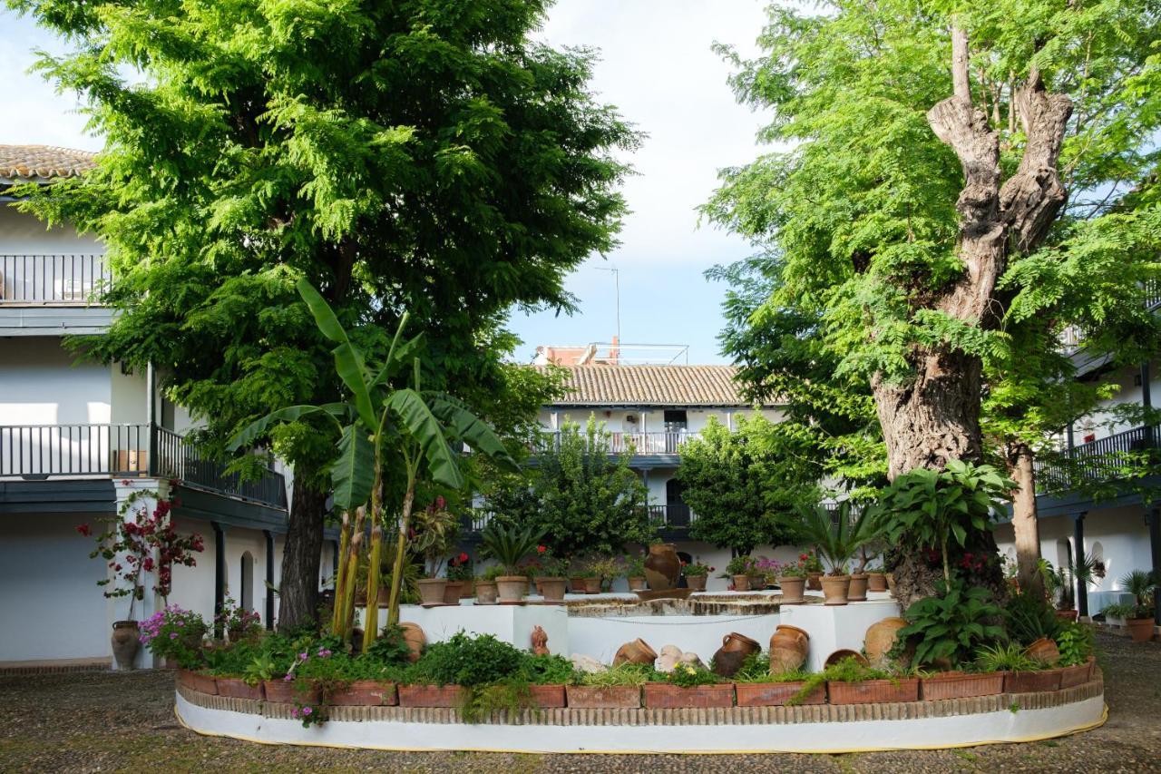 Vista Corral Del Conde Διαμέρισμα Σεβίλλη Εξωτερικό φωτογραφία