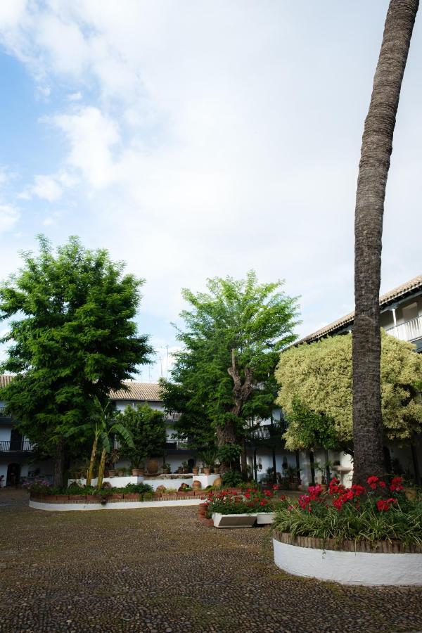 Vista Corral Del Conde Διαμέρισμα Σεβίλλη Εξωτερικό φωτογραφία