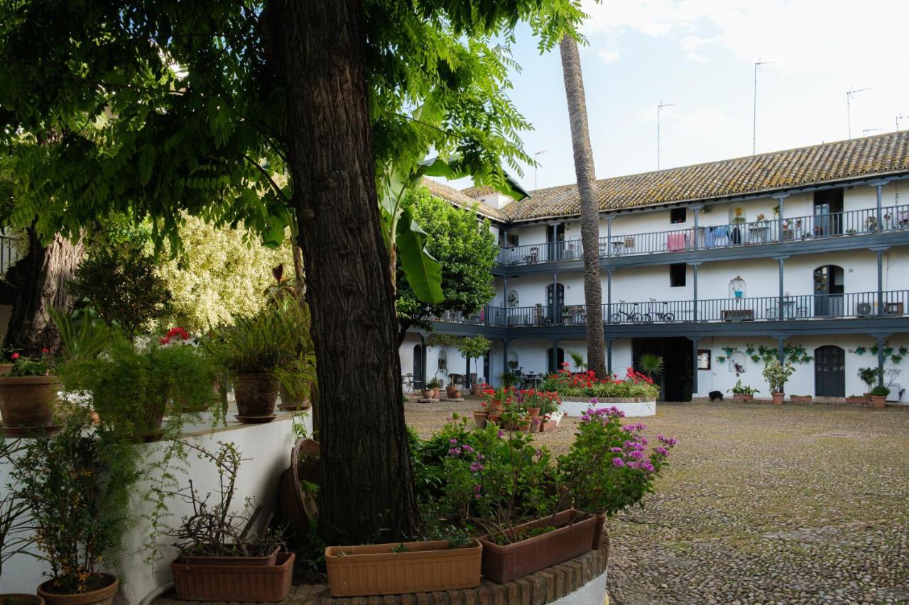 Vista Corral Del Conde Διαμέρισμα Σεβίλλη Εξωτερικό φωτογραφία